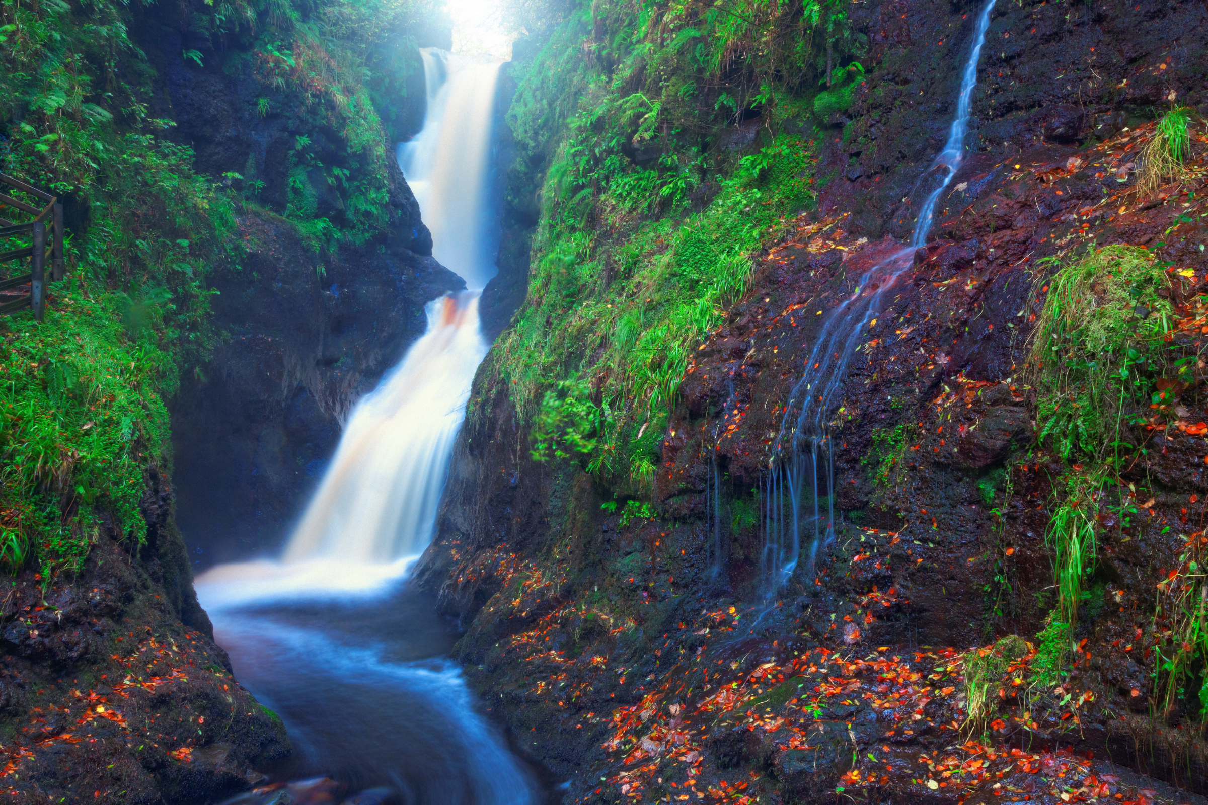 Laragh[1].webp